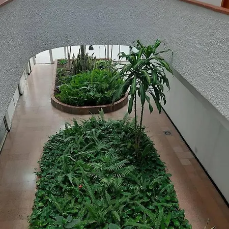 Lägenhet Apartamento Centrico En *